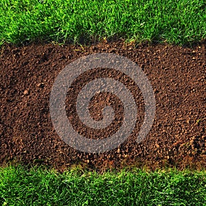 Soil and grass background