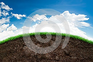 Soil and grass in blue sky