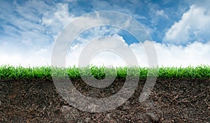 Soil and Grass in Blue Sky