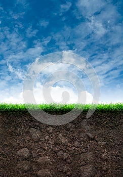 Soil with Grass in Blue Sky