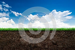 Soil and grass in blue sky photo