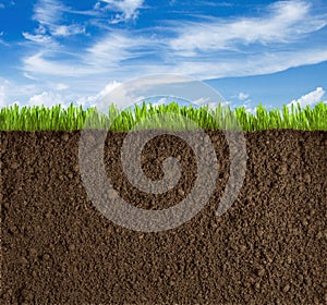 Soil, grass and sky background photo