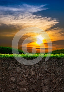 Soil with Grass in Sunset Background