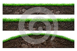 Soil and green grass