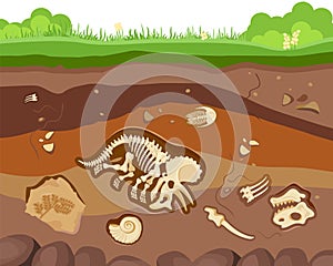 Soil ground layers with buried fossil animals, dinosaur, crustaceans and bones. Vector flat style cartoon illustration