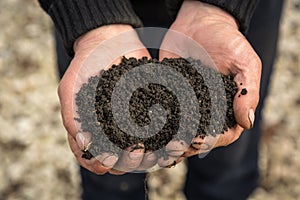 Soil in hand