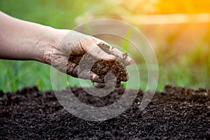 Soil in hand