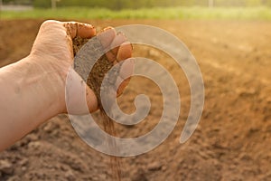 Soil in hand cultivated dirt. earth or ground with nature backg