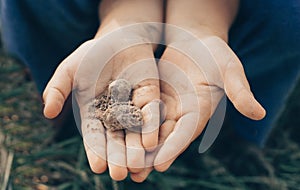 Soil in hand kid, palm, cultivated dirt, earth, ground, Organic gardening, agriculture. Nature closeup. Environmental texture