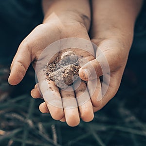 Soil in hand kid, palm, cultivated dirt, earth, ground, Organic gardening, agriculture. Nature closeup. Environmental texture