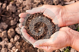 Soil in hands