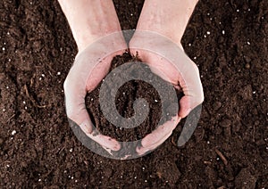 Soil in hands