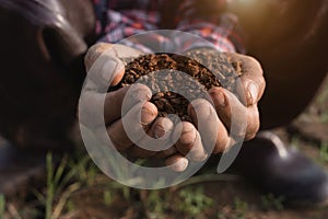 Soil in the hands of farmers. Concept of agriculture