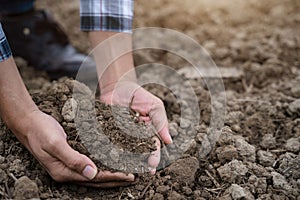 Soil in the hands of farmers. Concept of agriculture