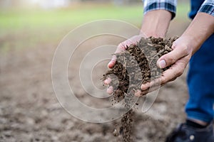 Soil in the hands of farmers. Concept of agriculture