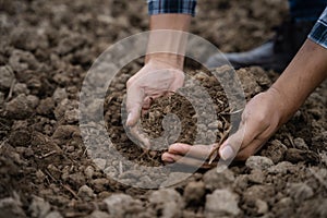 Soil in the hands of farmers. Concept of agriculture