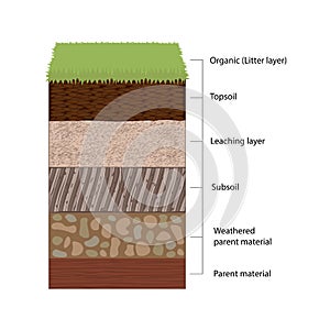 Soil Horizons and Layers