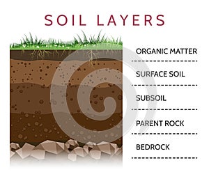 Soil layer scheme with grass