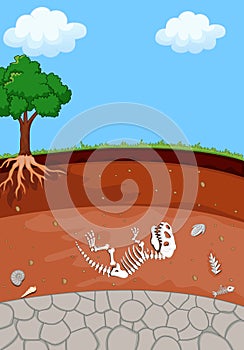 Soil Layers with cartoon dinosaur fossil