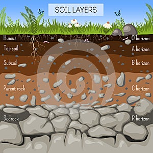 Soil layers diagram with grass, earth texture, stones, plant roots, underground species