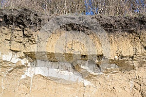 Soil layers at the edge of an eroded steep coast cliff with trees on top, on the German island Poel  near Wismar, Baltic Sea