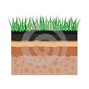 Soil layers with grass