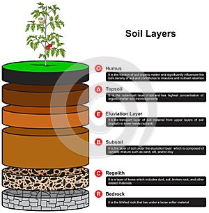 Soil layers infographic diagram biology geology agriculture science dirt