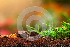 Soil layers, macro landscape of small pebbles .