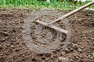 On the soil lie the garden rake. Close-up, Concept of gardening