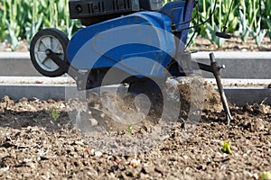 Soil loosening and weed removal by cultivator in agriculture and urban flower beds