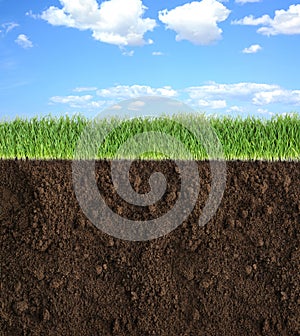 Soil with lush green grass and beautiful blue sky with clouds