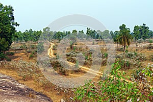 Soil made village road have gone into the jungle surrounded by green trees and big rocks under blue sky at Indian Sonamoni Pahar