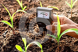 Soil meter is used on loam for planting, Measure soil acidity. photo
