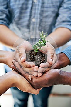 Soil, nature plants and hands of business people for new flower life, green leaf or future growth. Sustainability, team