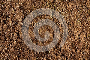 Soil with new grass seeds, brown gound texture bg