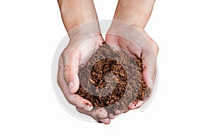 Soil paet moss on hand isolated white photo