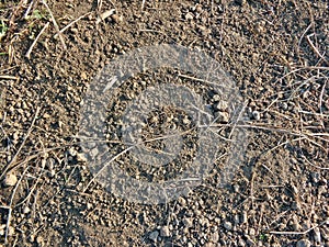 Soil pattern