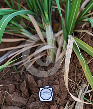 Soil pH meter and soil fertility for cultivation