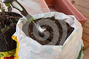 Soil for planting flowerpots