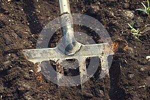 Soil preparation tool Close up of a used, dirty garden cultivator