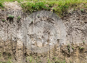 Soil profile