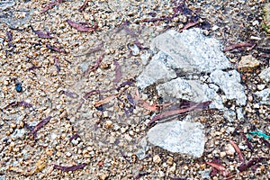 Soil, rock and brick texture for background