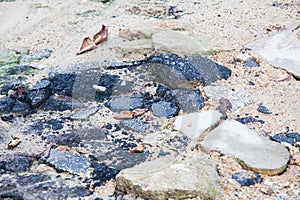 Soil, rock and brick texture for background