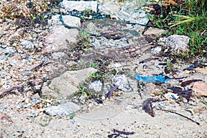 Soil, rock and brick texture for background