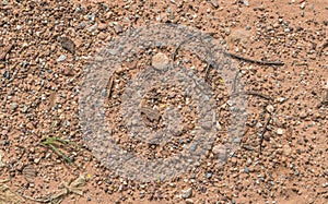 Soil and rocks