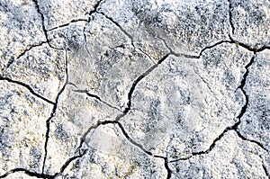 Soil salinity and cracks