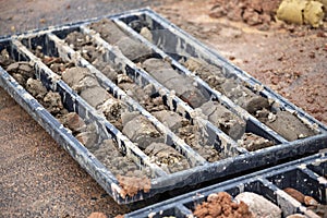 Soil samples in plastic core box