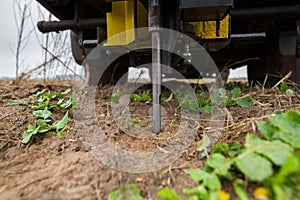 Soil Sampling. Automated probe for soil samples taking sample with soil probe sampler. Environmental protection, organic soil