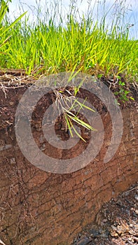 soil sediment - stock photo