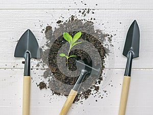 Soil, a set of garden tools and a small plant on a white wooden background.